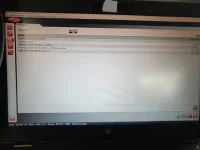 4.webp