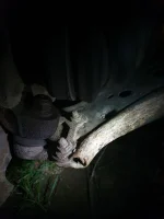 20210816_kulled_förminskad.webp