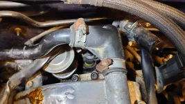 thumbnail_DSC_4743.webp thumbnail_DSC_4743.webp