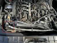 motorrum.webp