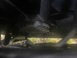 IMG_6480.jpeg