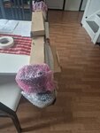 20250414_110113.jpg