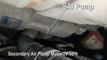 sai.png